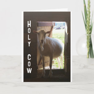 Carte "50e ANNIVERSAIRE ? ? ? NE PEUT JUSTE PAS CROIRE L