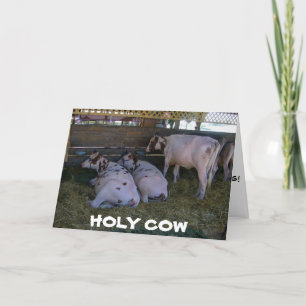 Carte **50e ANNIVERSAIRE ?** NE VOUS INQUIÈTEZ PAS QUE N