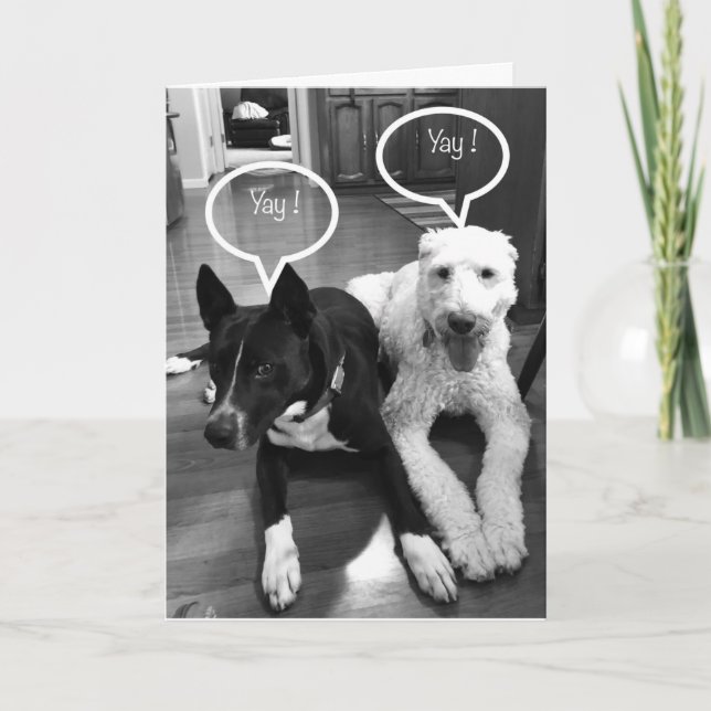 Carte **50e** HUMOUR D'ANNIVERSAIRE DE DEUX POUPES (Devant)