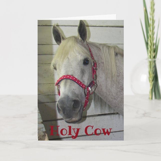Carte ***50e*** SAINT VACHE JEUNE ANNIVERSAIRE FILLY (Devant)