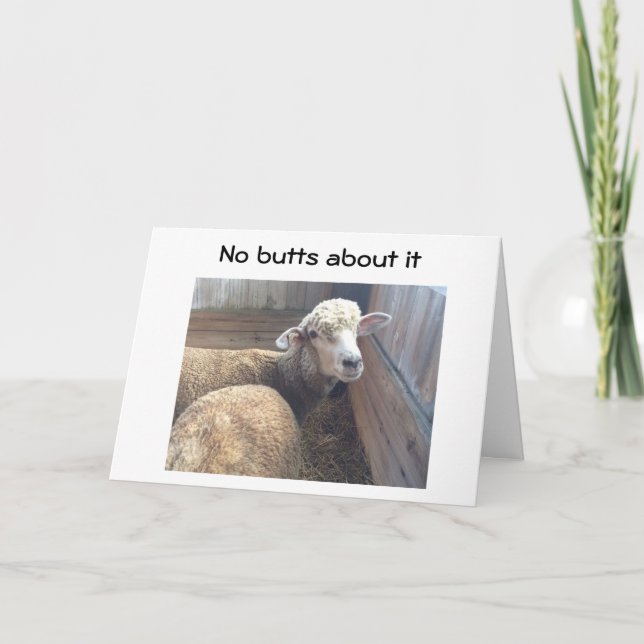 Carte 50ème NAISSANCE PAS DE MISES À CE SUJET VOUS ÊTES  (Devant)