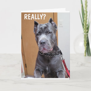 Carte ***60*** et YOU STILL LOOK "FANTASIC" BIRTHDAY C