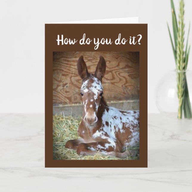 Carte **60e ANNIVERSAIRE** HUMOUR D'UN BON COLT ! (Devant)
