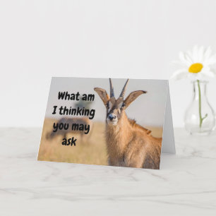 Carte "60e anniversaire HUMOUR VIA ANTELOPE Card
