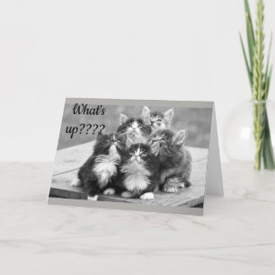 Carte *60e ANNIVERSAIRE VOUS SOUHAITE* QU'EST-CE QUI SE