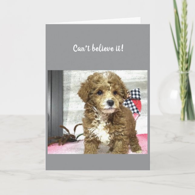 Carte **60e** SOUHAITS D'ANNIVERSAIRE D'UN CUTE POIVRE (Devant)