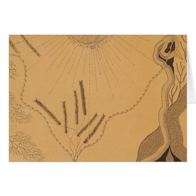 Carte 6 de John Haughton (Devant horizontal)