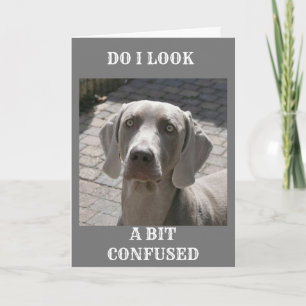 CARTE "70" COMMENT PEUT-ON DIRE WEIMARANER CARD