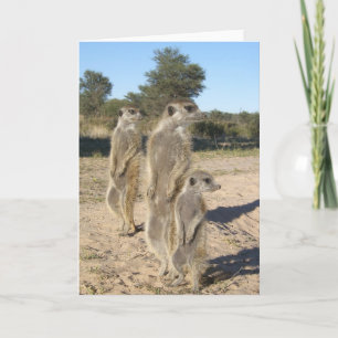 Carte 7 de KMP - Aztèques