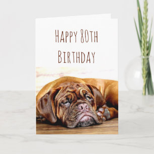 Carte 80e anniversaire Chien triste rester Humour provoc