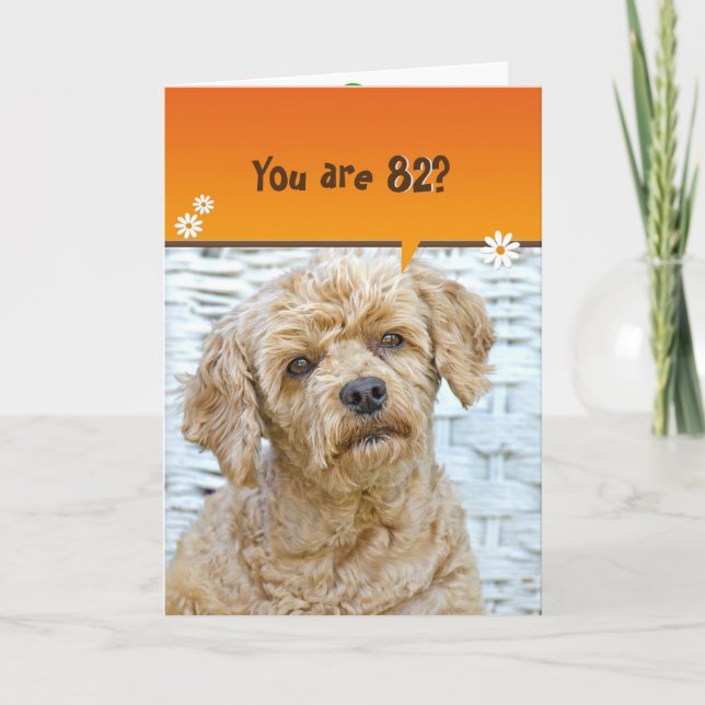 Carte 82e anniversaire de caniche brune en osier (Devant)
