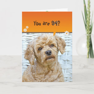 Carte 94e anniversaire marron poodle en osier