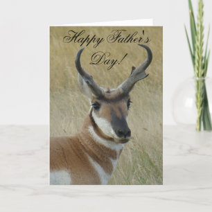 Carte A21 Pronghorn Antelope Buck