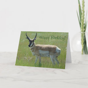 Carte A36 Pronghorn Antelope Big Buck