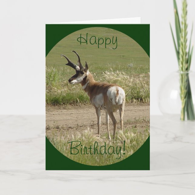 Carte A39 Pronghorn Antelope Buck (Devant)
