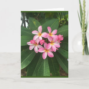 CARTE A * ANNIVERSAIRE SPÉCIAL* POUR UNE * PERSONNE SPÉC