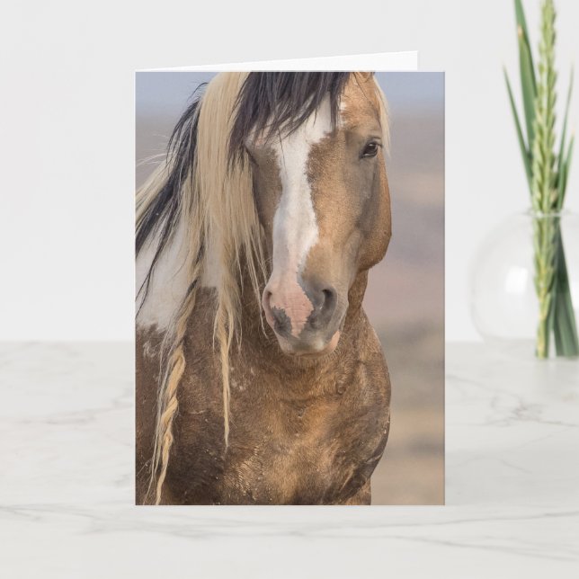 Carte à billets "Golden Boy" (Devant)