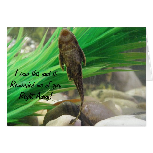 Carte à chance (Devant horizontal)