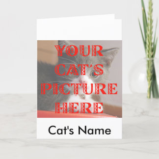 Carte A customisé la photo de votre chat