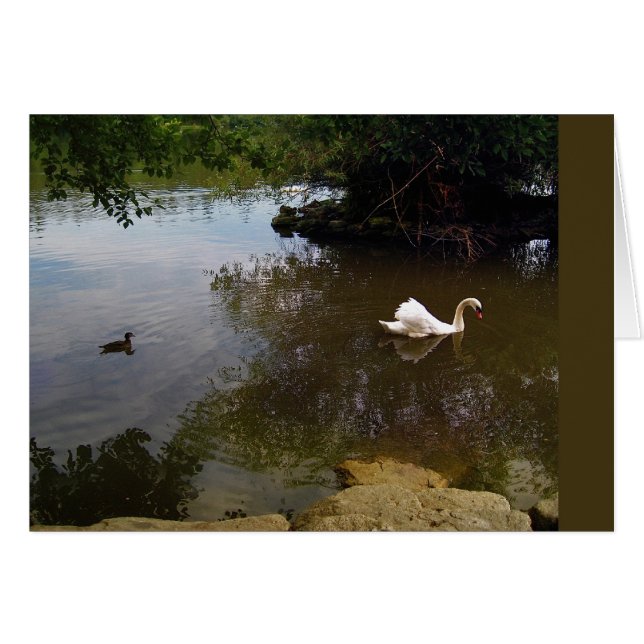 Carte à cygne en argent (Devant horizontal)