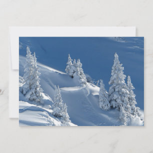 Carte À feuillage persistant arbres couverts de neige hi