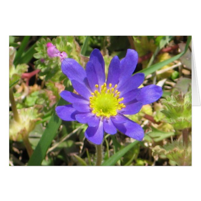 Carte à fleurs bleues (Devant horizontal)