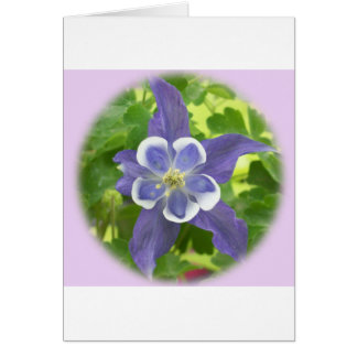 Carte à fleurs de colonne Aquilegia