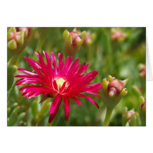 Carte à fleurs de glace rose