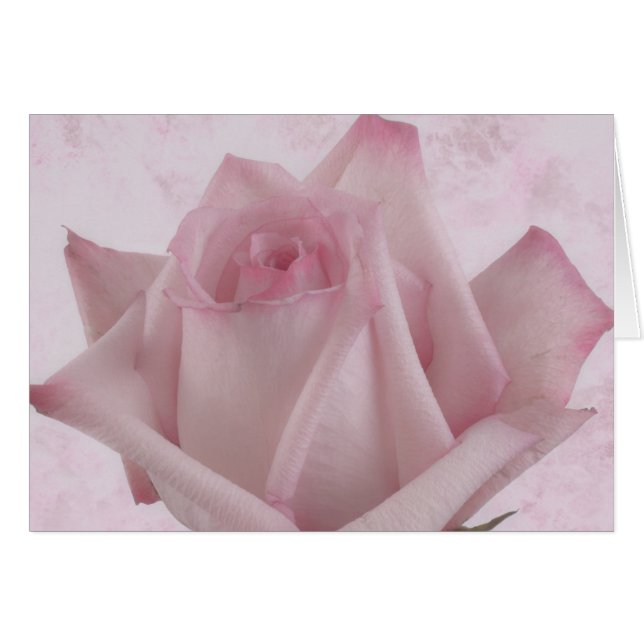 Carte à fleurs rose douce (Devant horizontal)