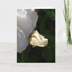 Carte à fleurs roses