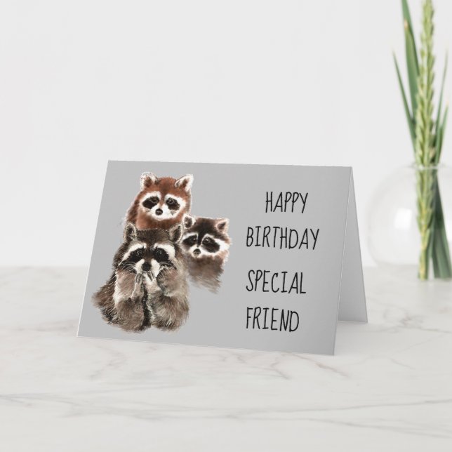 Carte A Friend Like You Journey Raccoon Birthday Fun (Devant)