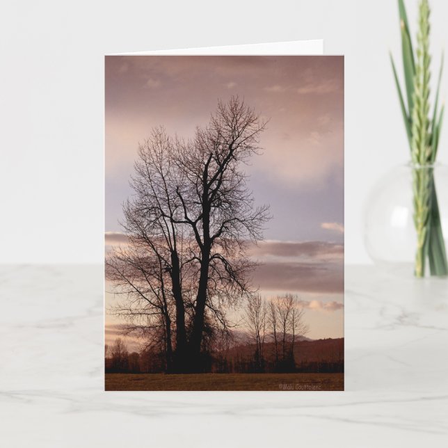 Carte À la fin de la journée (Devant)