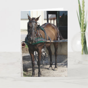 Carte À l'Anniversaire de Hitching Post