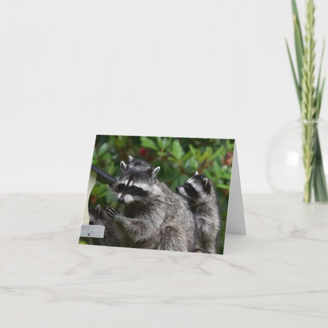 Carte A Mama Raccoon et son bébé (Devant)