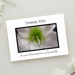 Carte à Merci en Sympathy - Amaryllis