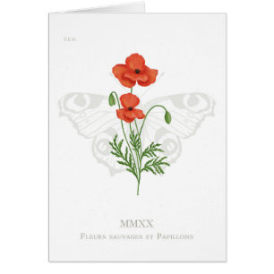 Carte à papillon de coquelicot et paon