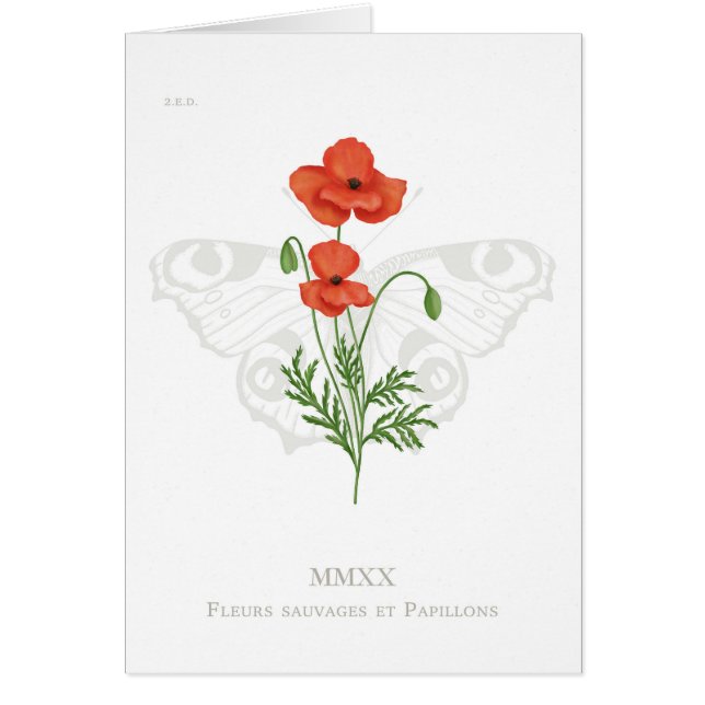 Carte à papillon de coquelicot et paon (Devant)