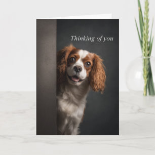 Carte À penser à vous Cavalier Spaniel