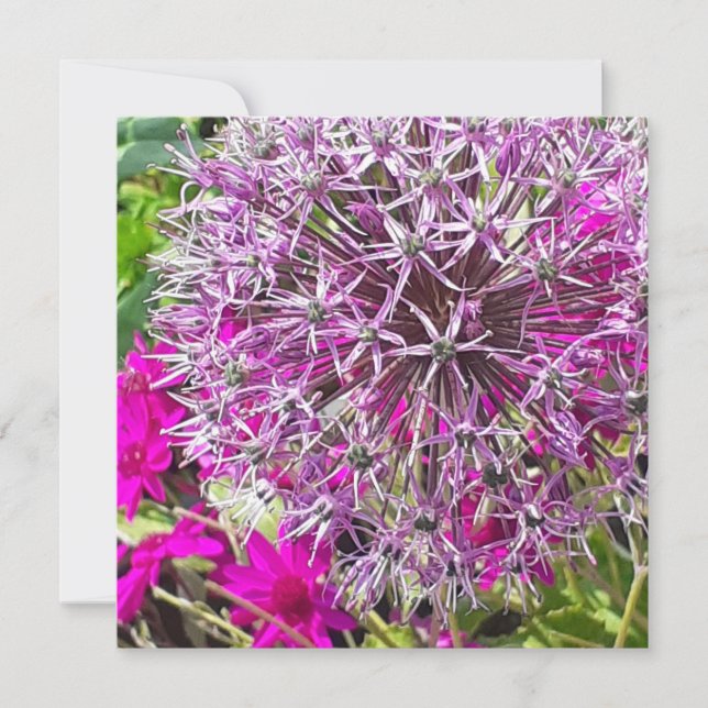 Carte à plat Allium & Fleurs d'été (Devant)