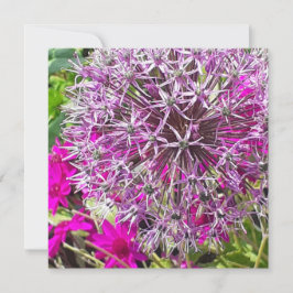Carte à plat Allium & Fleurs d'été