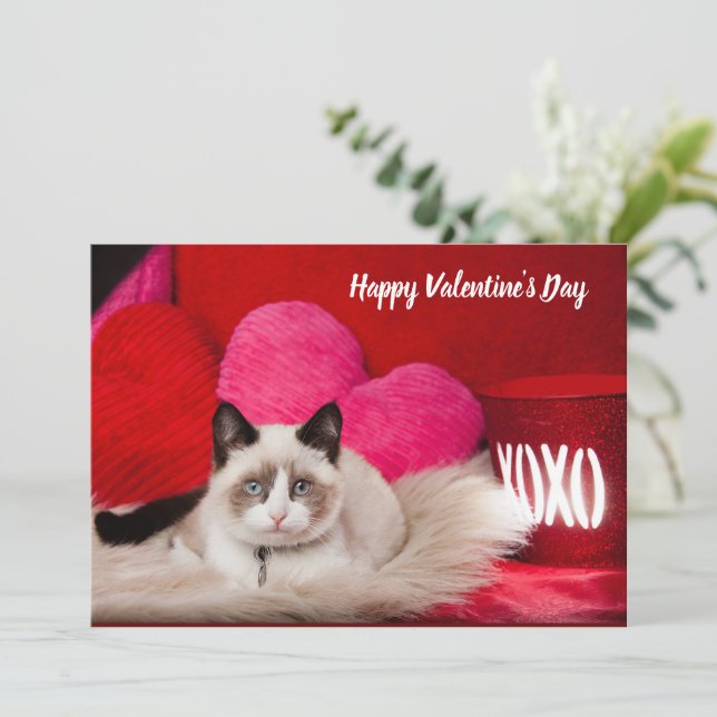 Carte à plat pour chat Heureuse Sainte-Valentin (Debout devant)