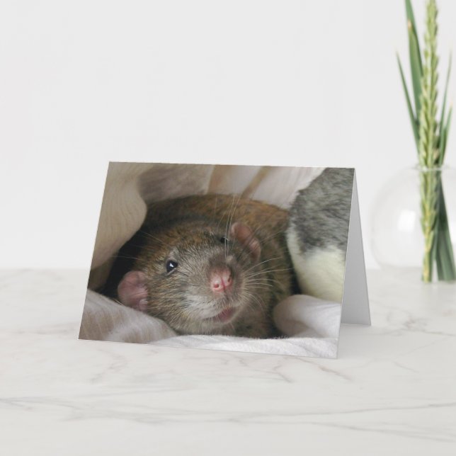 Carte à prix vierge (Devant)