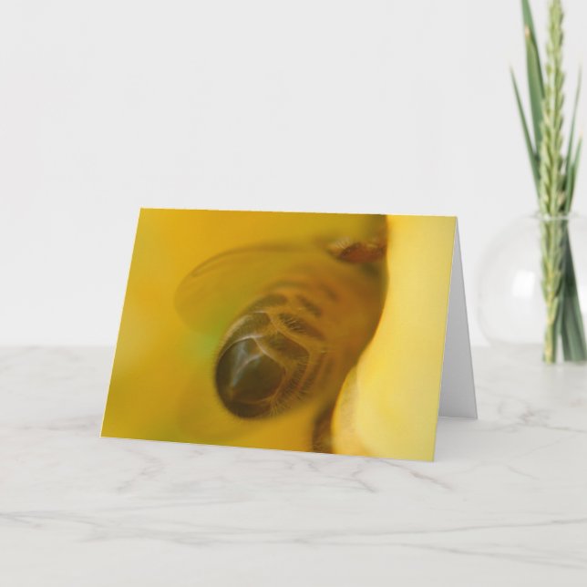 Carte Abeille de miel (Devant)