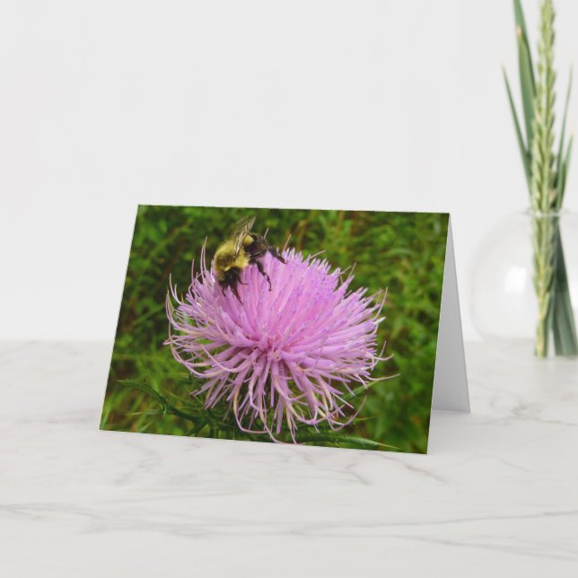 Carte Abeille sur la nature de la fleur de chardon (Devant)