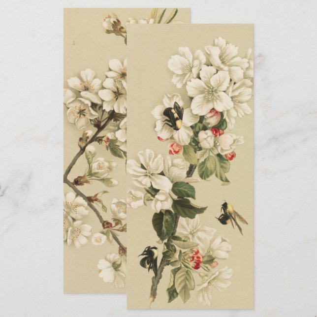 Carte Abeilles vintages (Devant / Derrière)