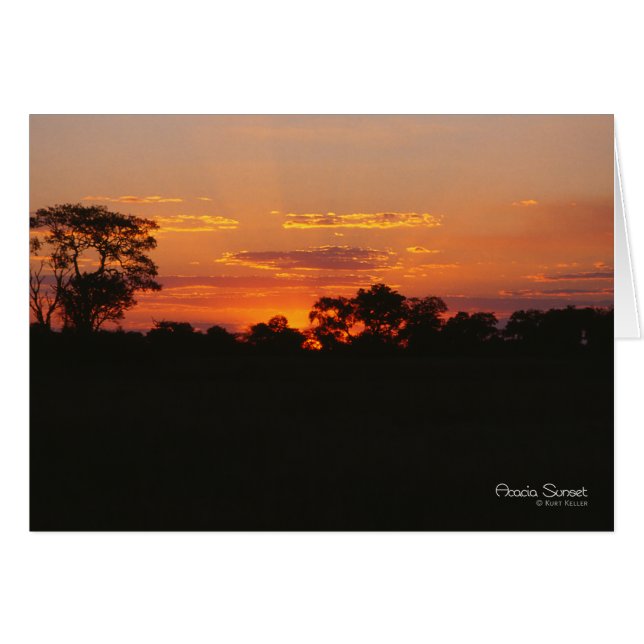 Carte Acacia Sunset Note (Devant horizontal)