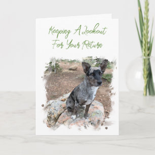 Carte Accompagnateur photo de chien de bétail vous manqu