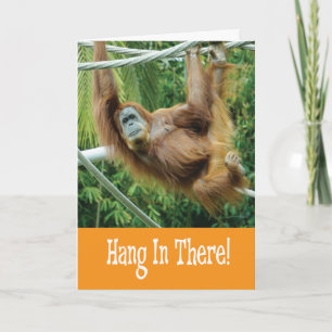 Carte Accroche-toi avec un drôle d'Orang-outan dans l'Ar