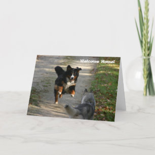 Carte Accueil - La Réunion