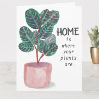 Accueil Les plantes Joyeux Nouveau Accueil Aquarel